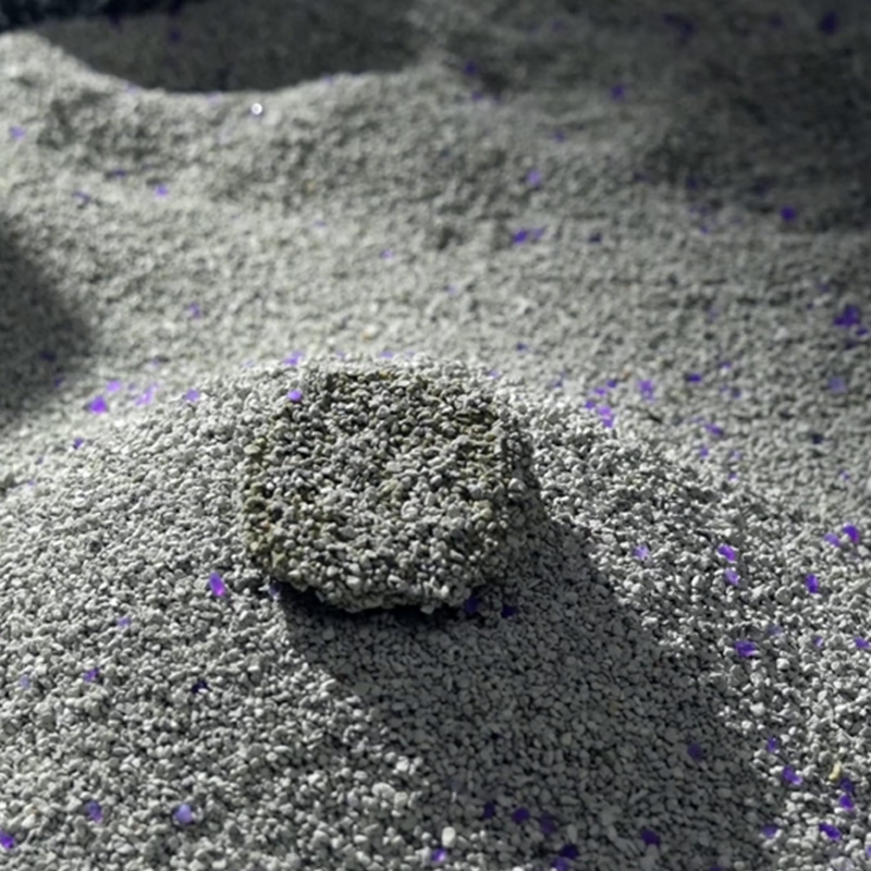 Alegerea celui mai bun așternut mineral pentru pisici: sfaturi practice pentru o casă mai curată